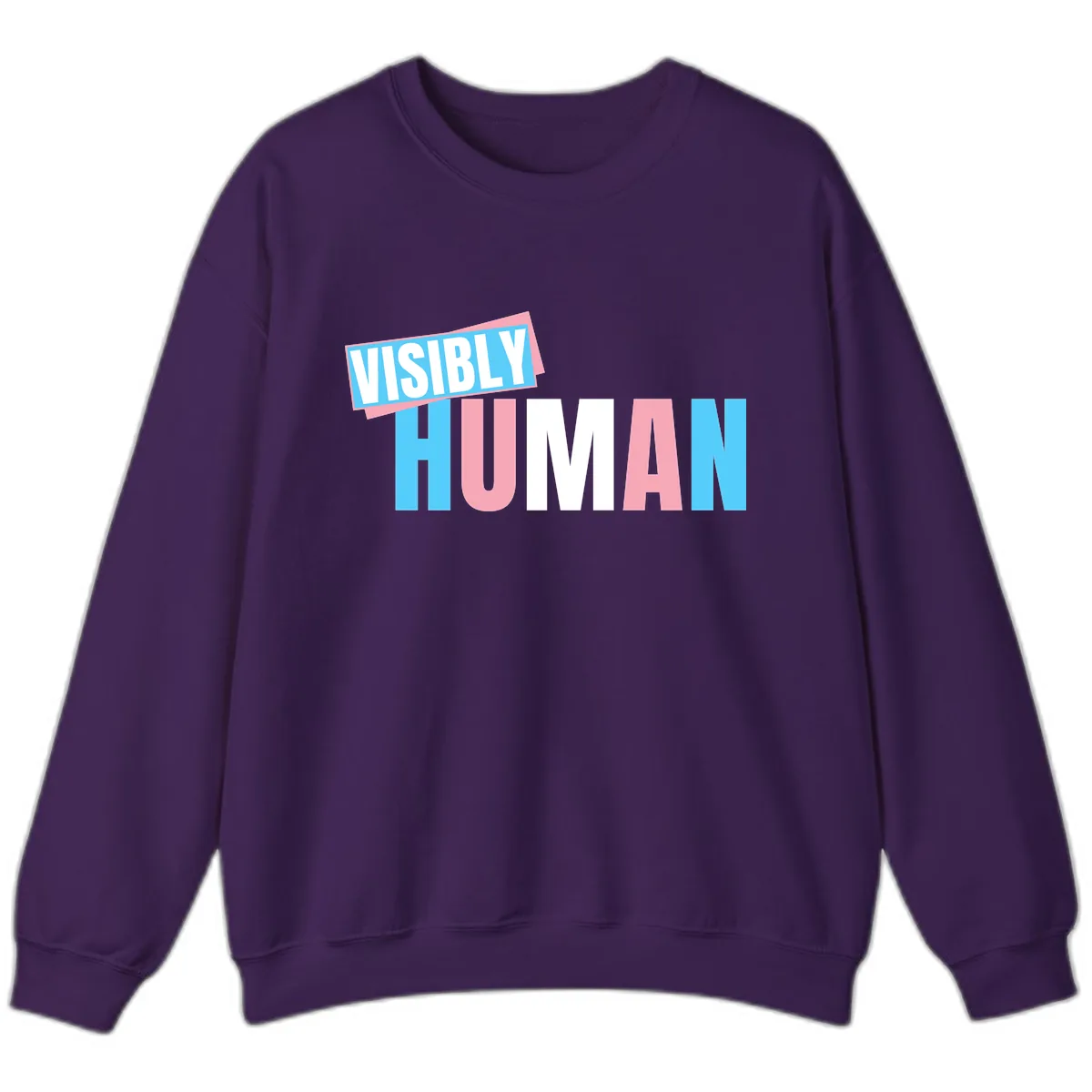 Visibly Human Pride Statement Sweatshirt in Purple