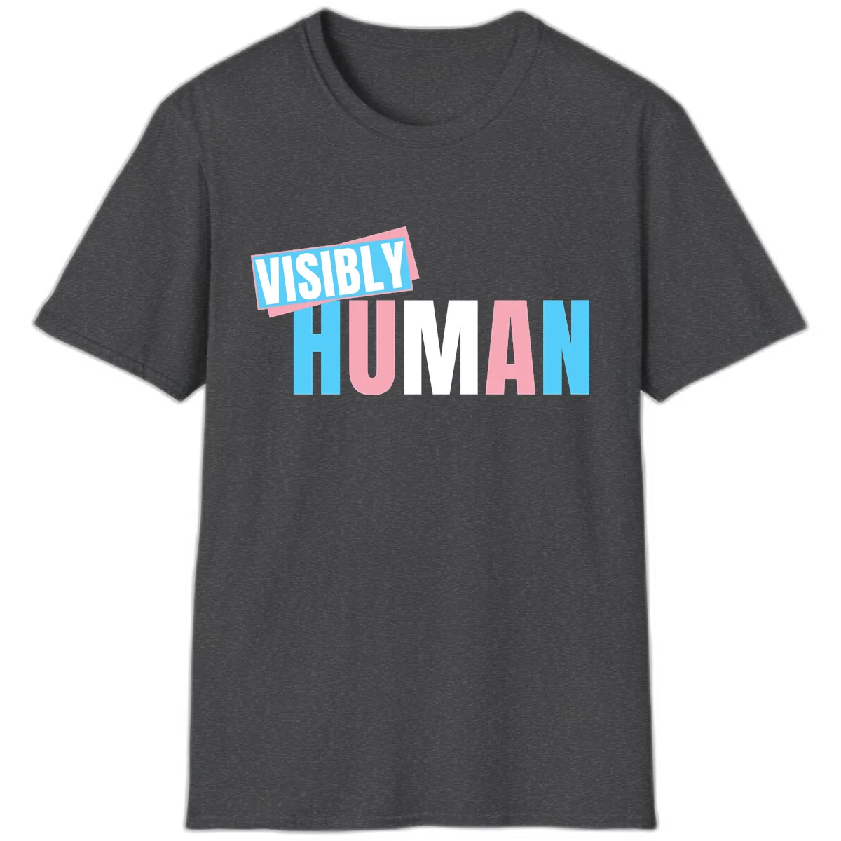 Visibly Human Pride Statement T-Shirt in Dark Heather