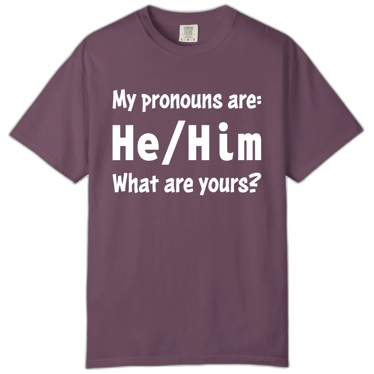 He/Him Pronouns Pride Design Comfort Color in Berry