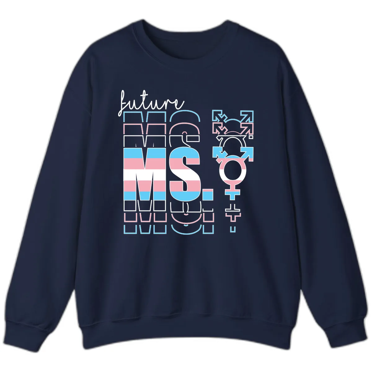 Future Self Gender Expression Pride Sweatshirt in Navy