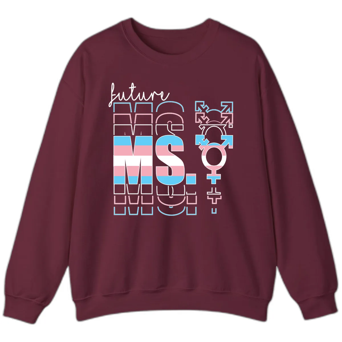 Future Self Gender Expression Pride Sweatshirt in Maroon