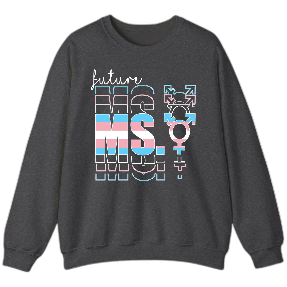 Future Self Gender Expression Pride Sweatshirt in Dark Heather