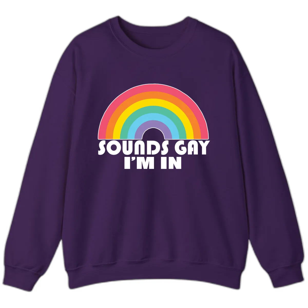 Sounds Gay I'm In Rainbow Pride Sweatshirt in Purple