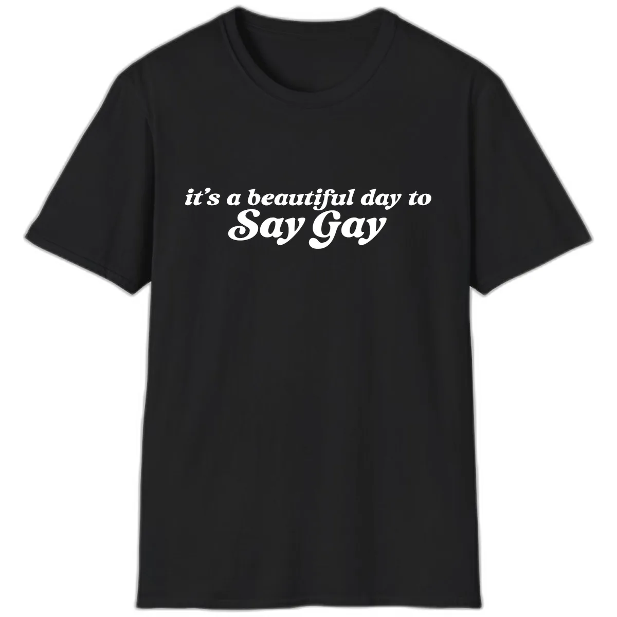 It's A Beautiful Day To Say Gay T-Shirt in Black