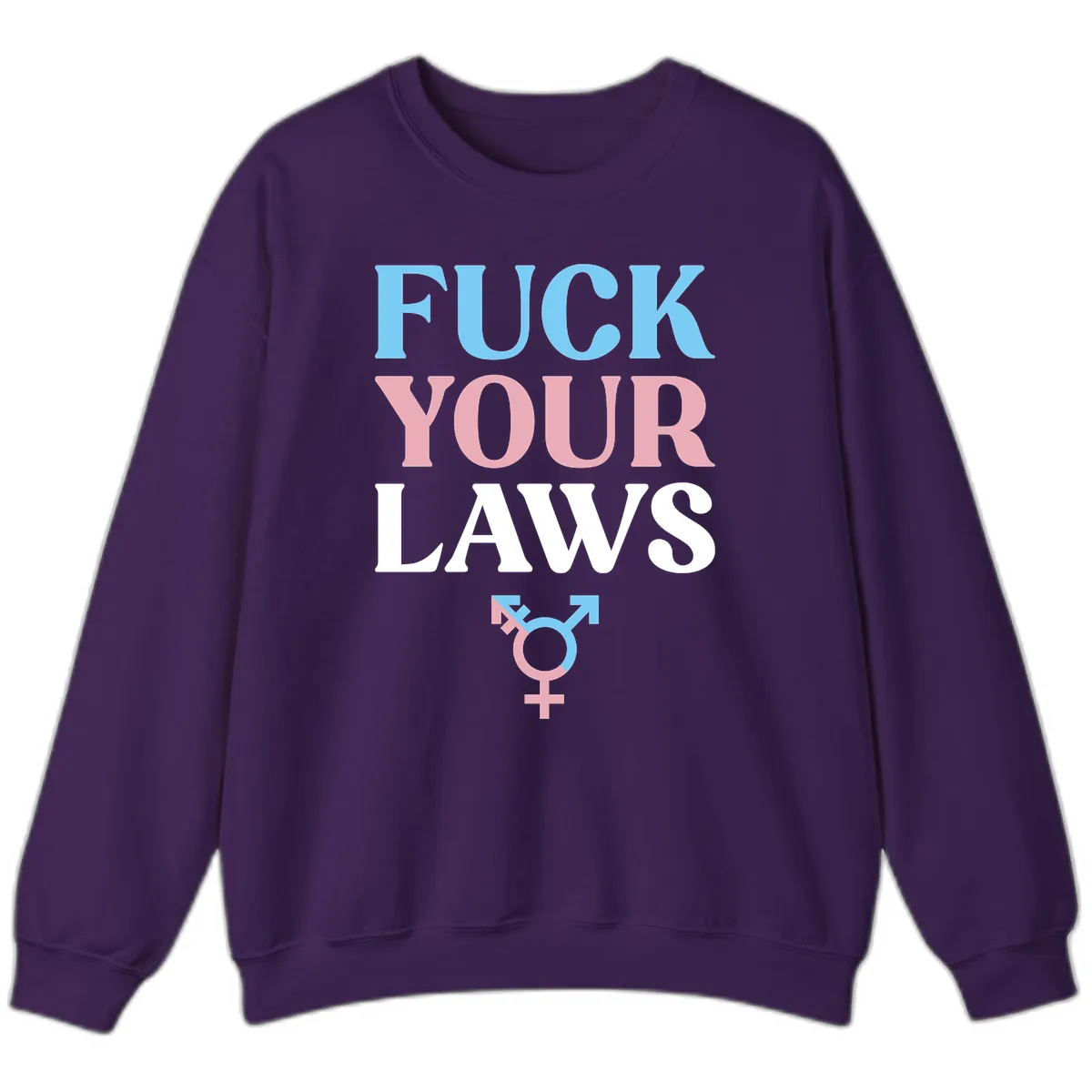 Fuck Your Laws Trans Pride Sweatshirt in Purple