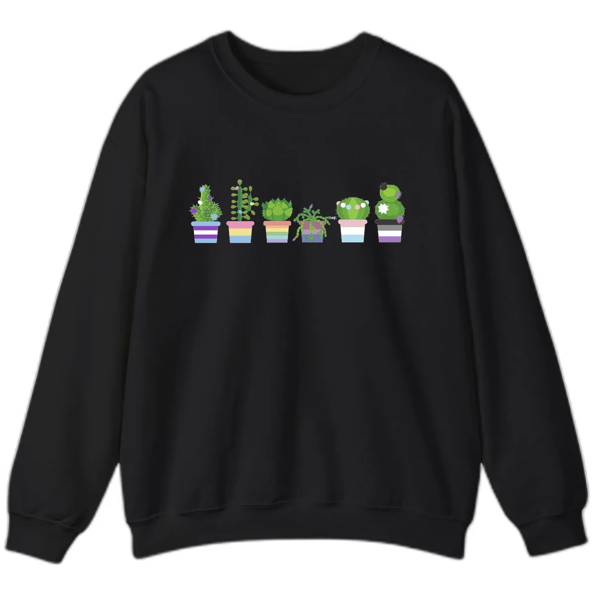 Rainbow Potted Cacti Garden Sweatshirt in Black