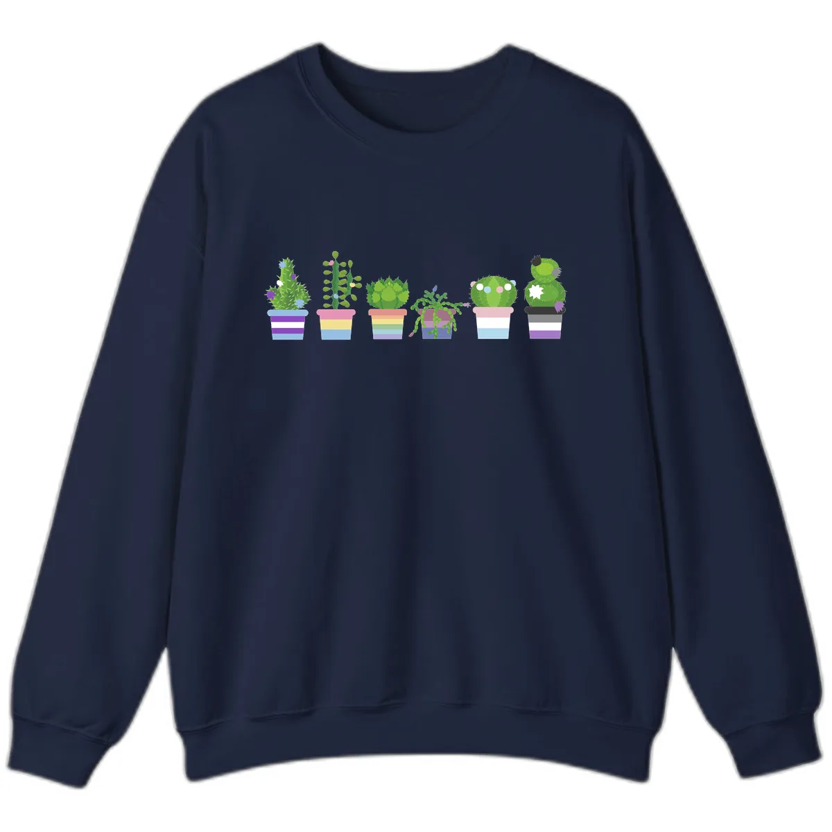 Rainbow Potted Cacti Garden Sweatshirt in Navy
