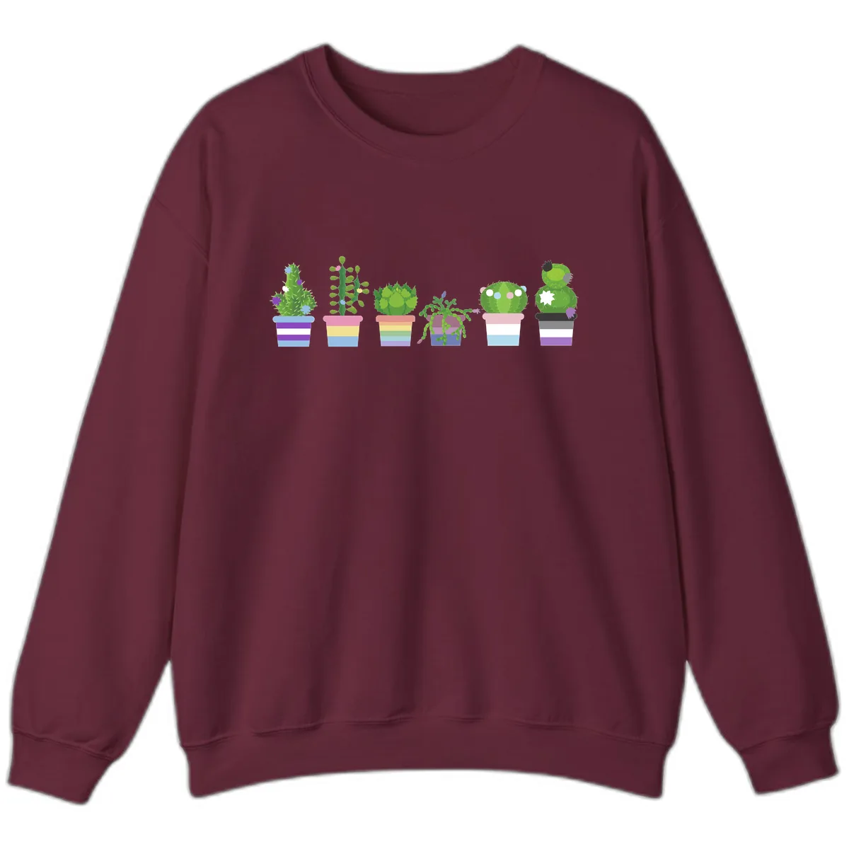 Rainbow Potted Cacti Garden Sweatshirt in Maroon