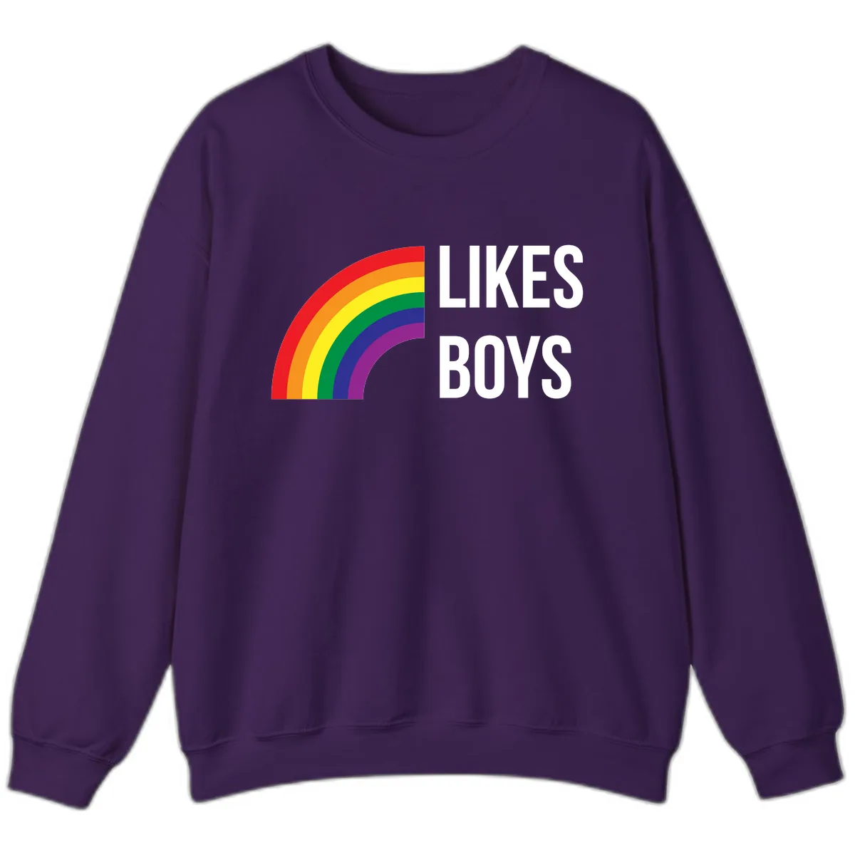 Likes Boys Rainbow Pride Sweatshirt in Purple