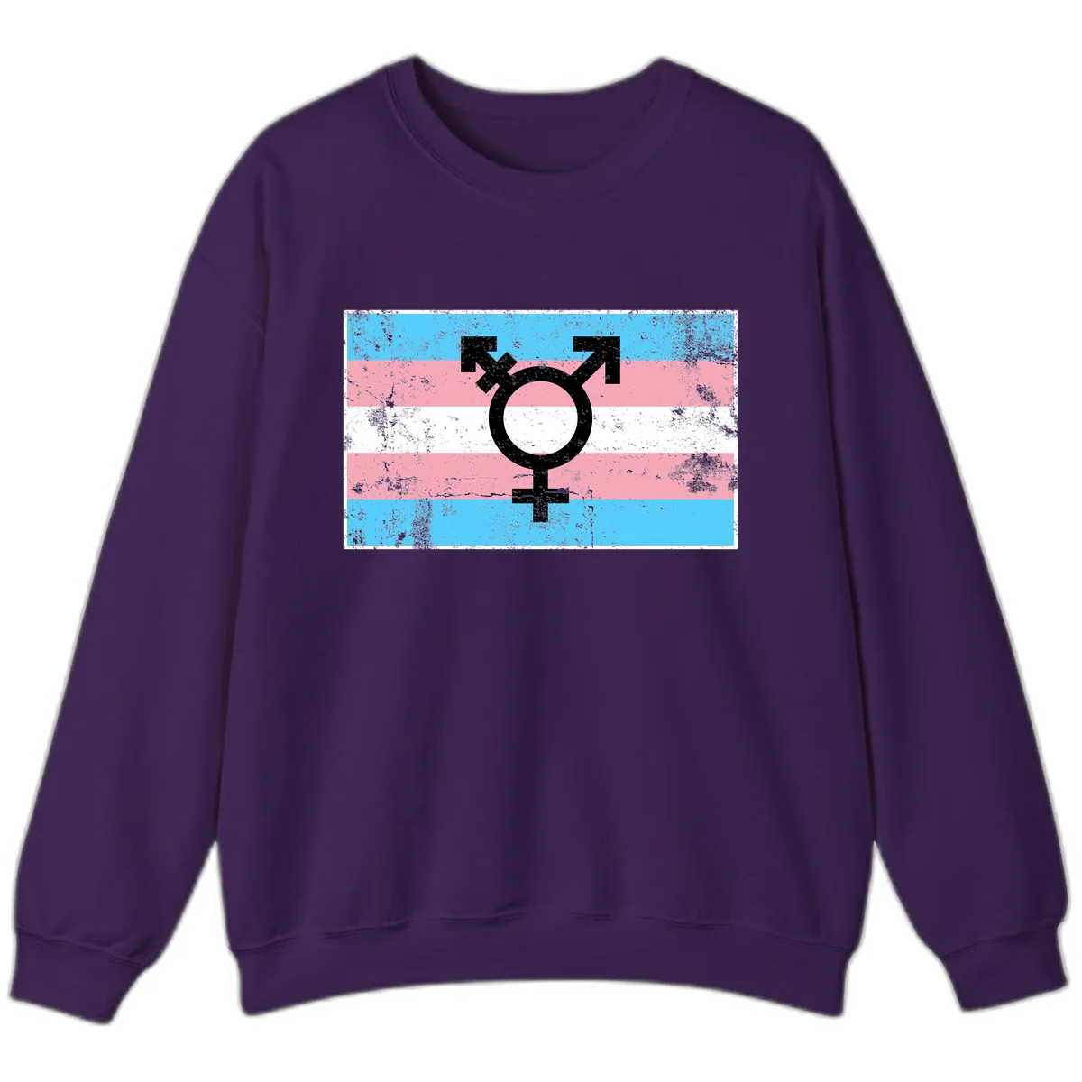 Transgender Pride Flag Symbol Sweatshirt in Purple