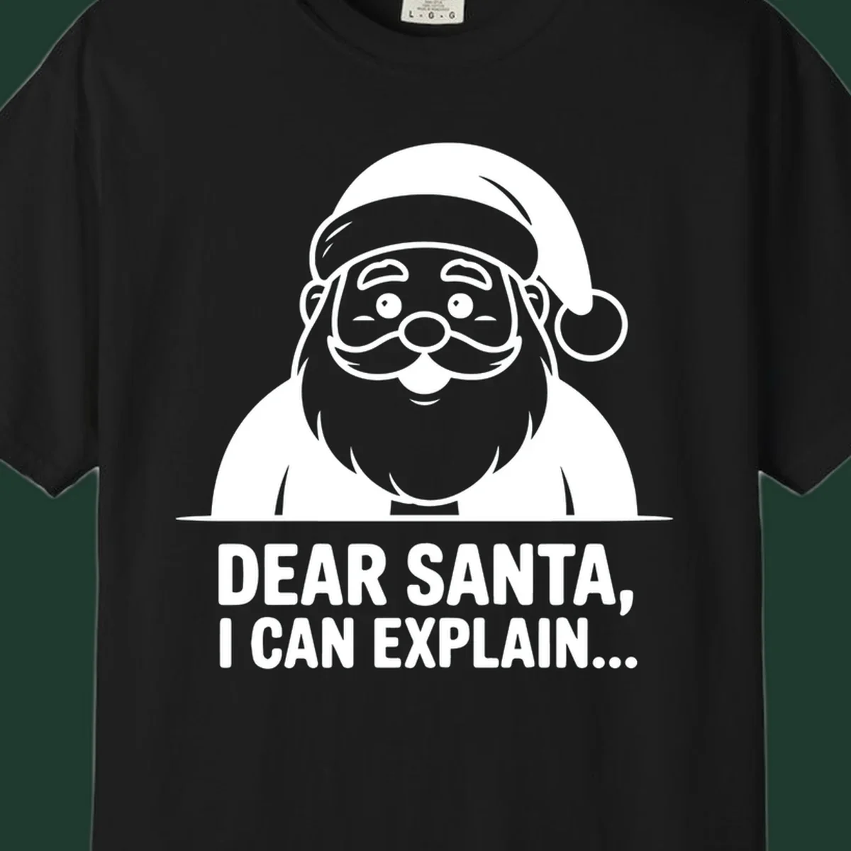 Santa Claus illustration with text: Dear Santa, I Can Explain...