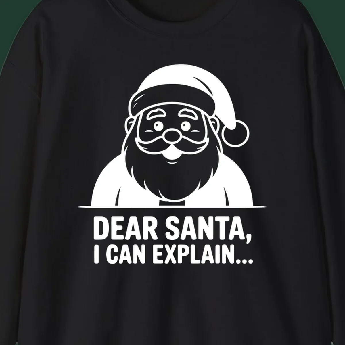 Santa Claus illustration with text: Dear Santa, I Can Explain...