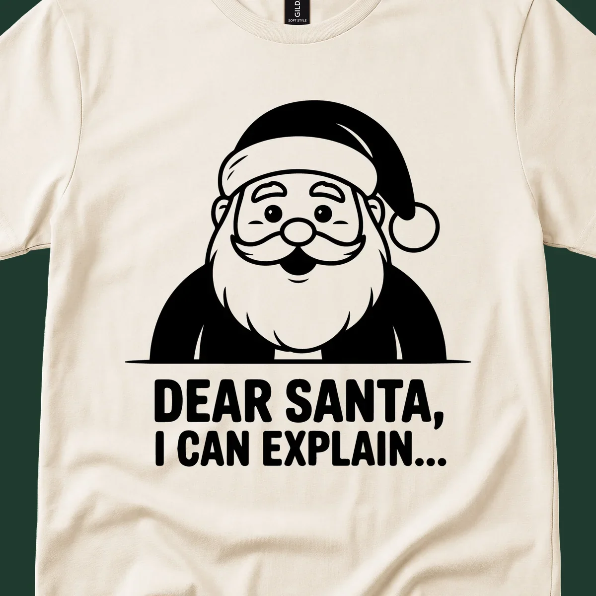Santa Claus illustration with text: Dear Santa, I Can Explain...