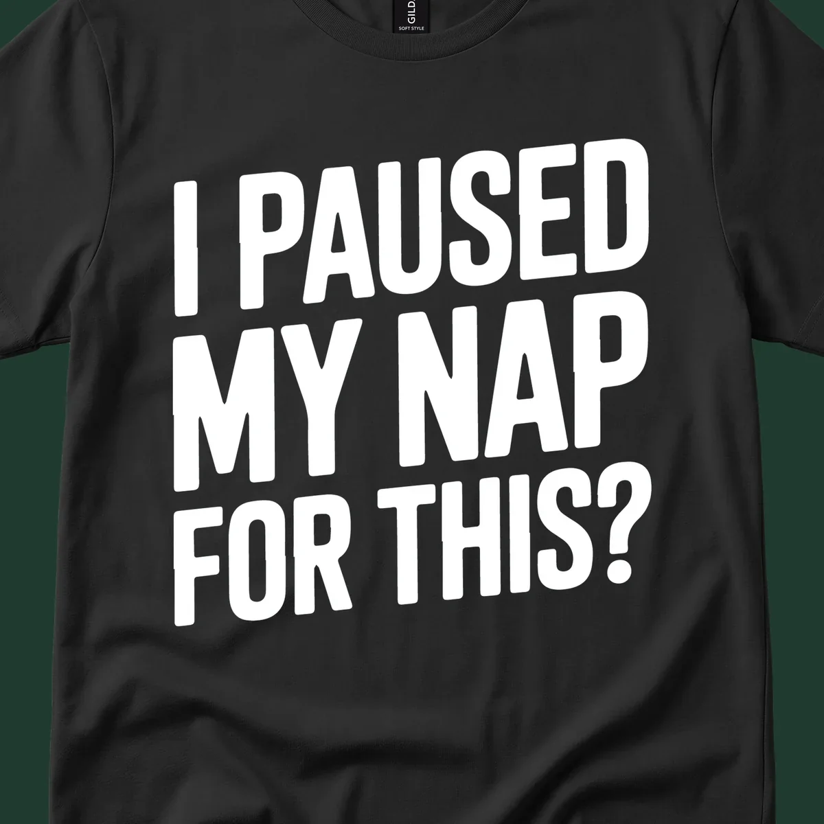 White typography quote 'I PAUSED MY NAP FOR THIS?' on a black background.