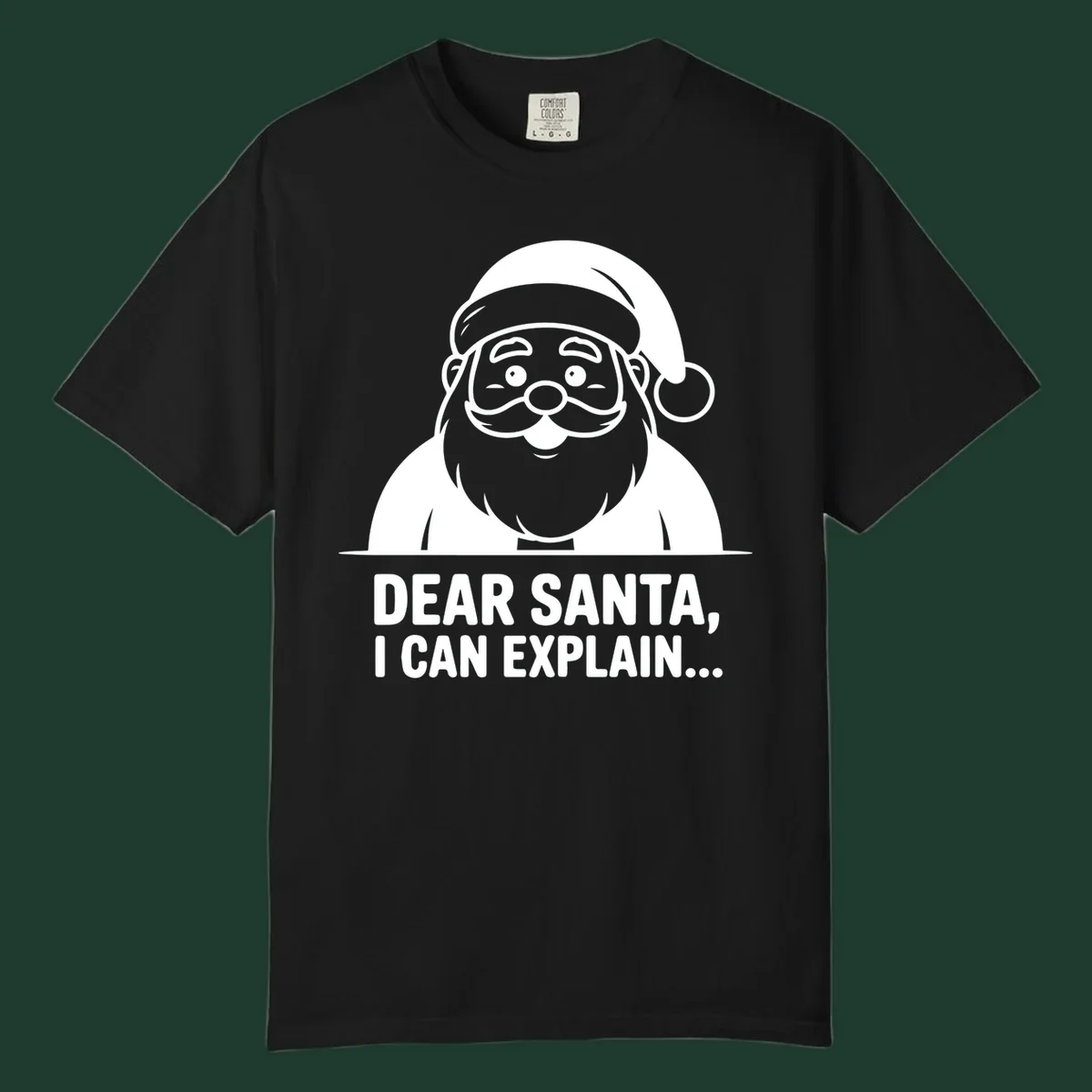 Santa Claus illustration with text: Dear Santa, I Can Explain...