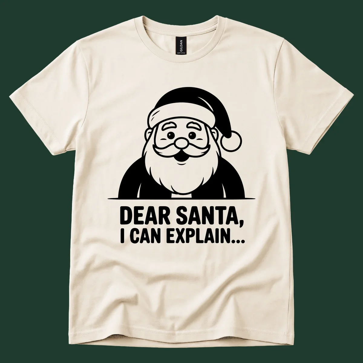 Santa Claus illustration with text: Dear Santa, I Can Explain...