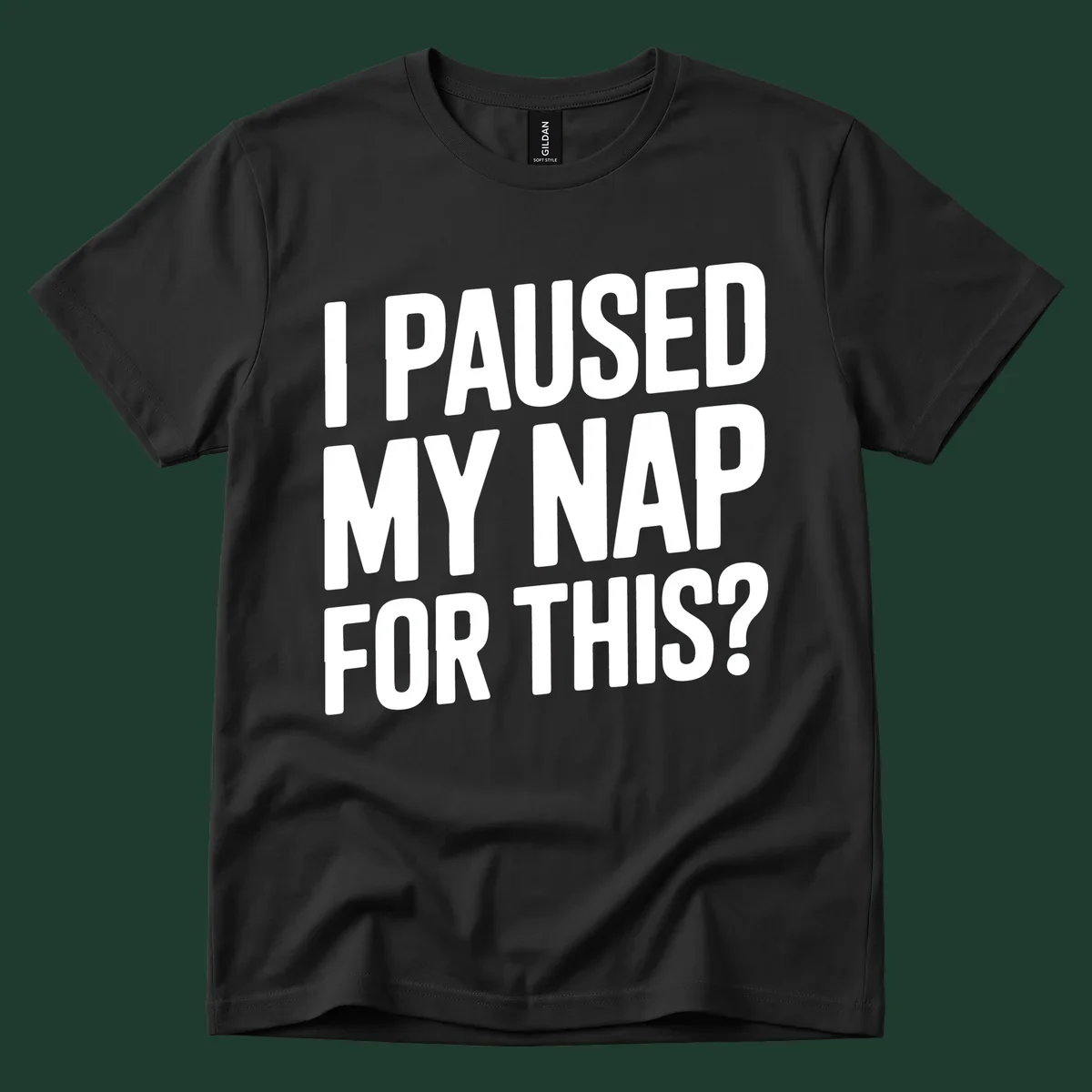 White typography quote 'I PAUSED MY NAP FOR THIS?' on a black background.
