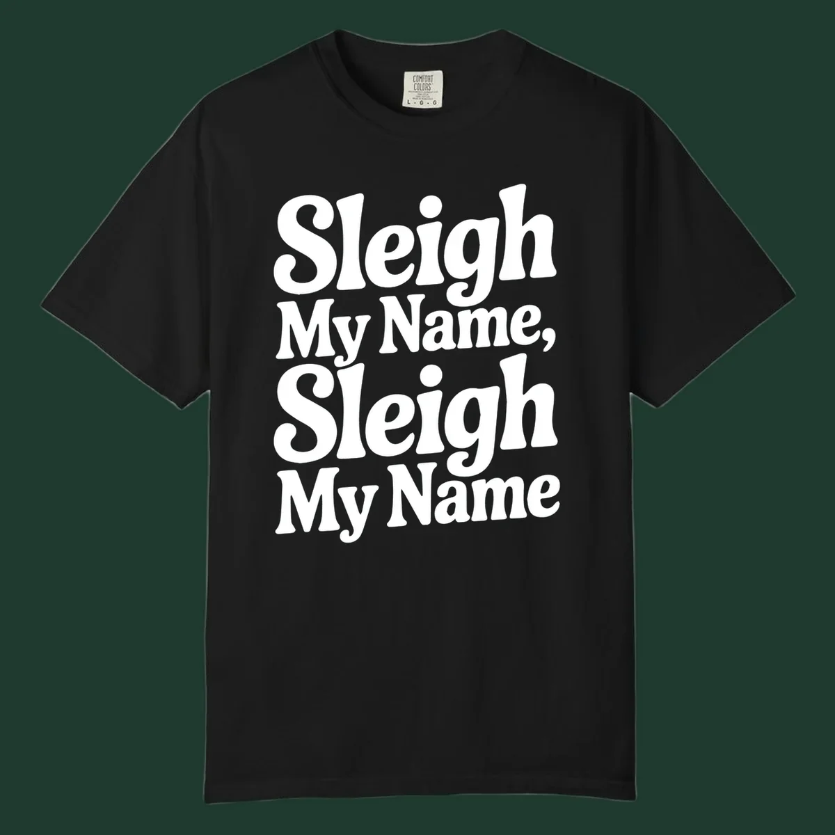 Sleigh My Name Sleigh My Name typography design in white lettering.