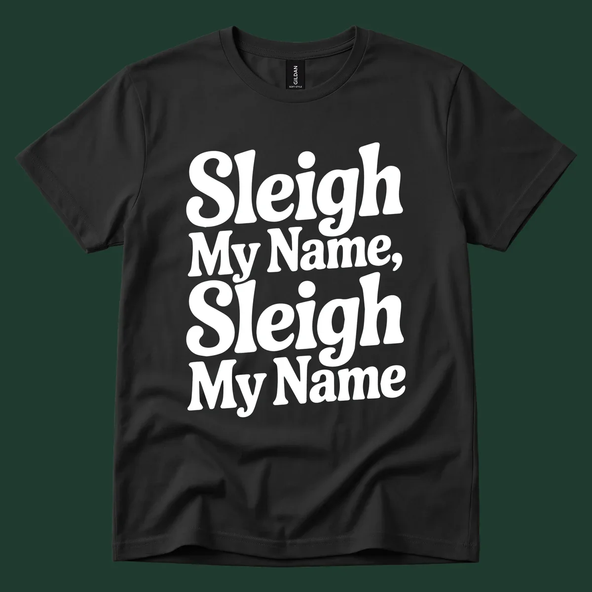 Sleigh My Name Sleigh My Name typography design in white lettering.