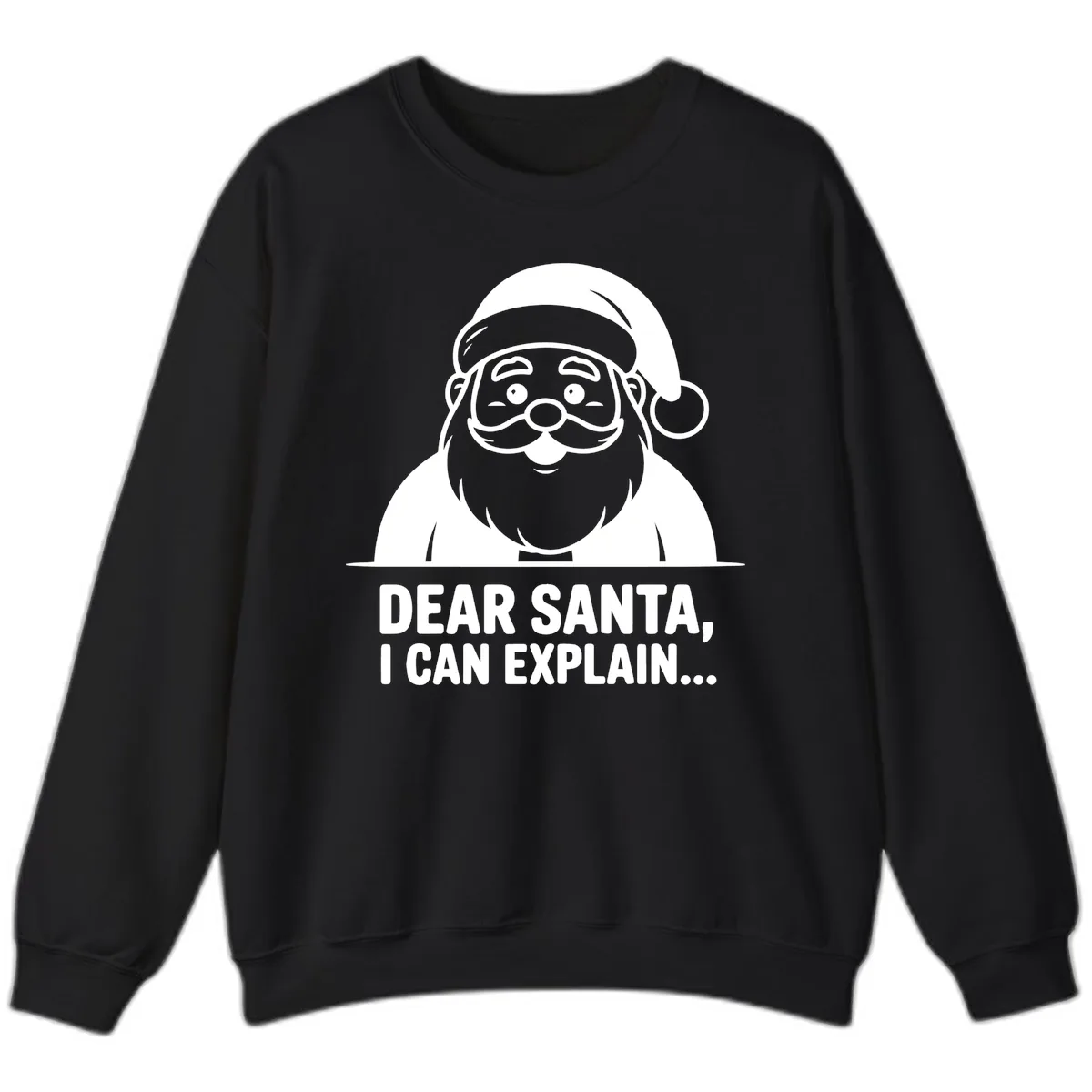 Dear Santa I Can Explain Sweatshirt in Black