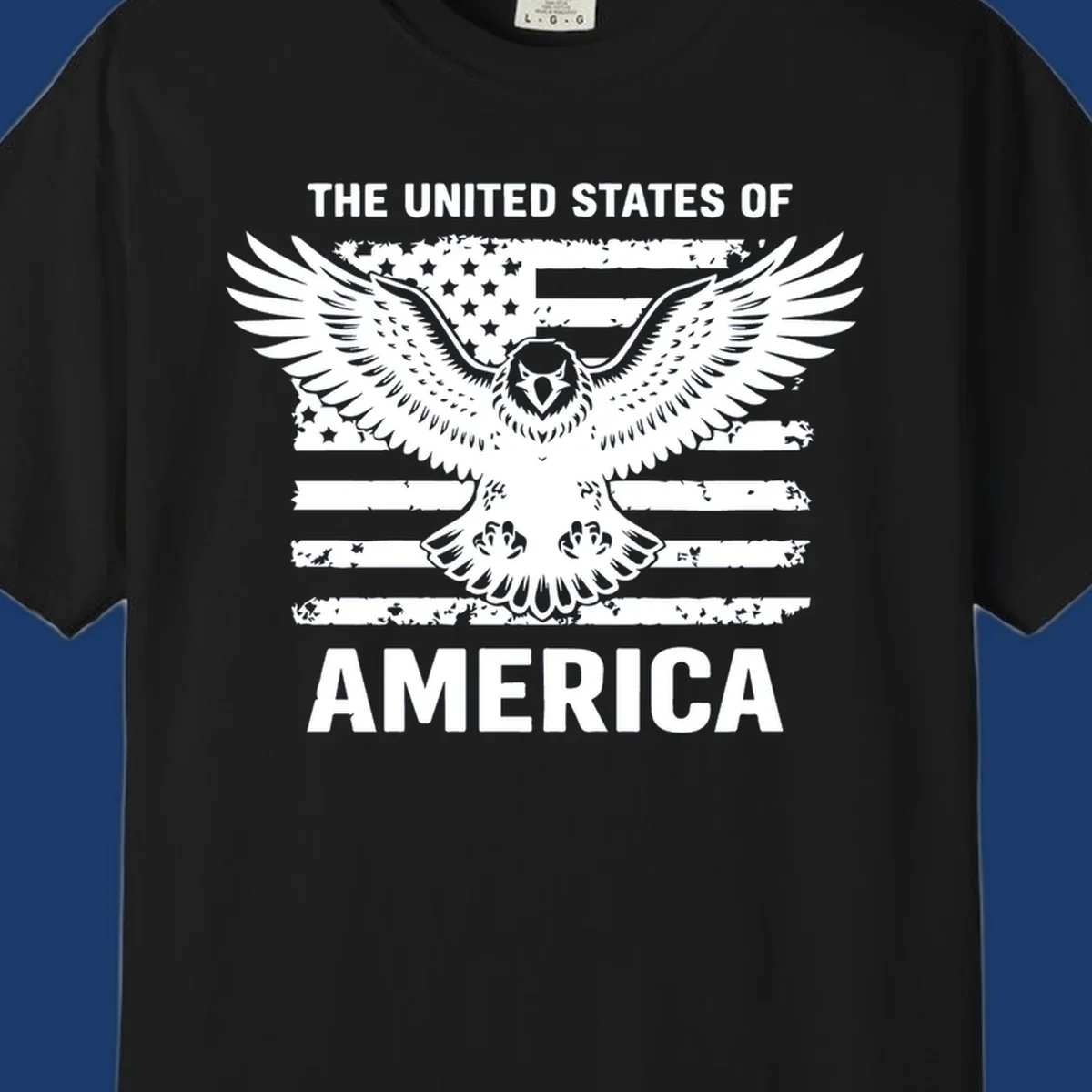 Bold American eagle with outstretched wings superimposed over a distressed USA flag, text 'THE UNITED STATES OF AMERICA'.