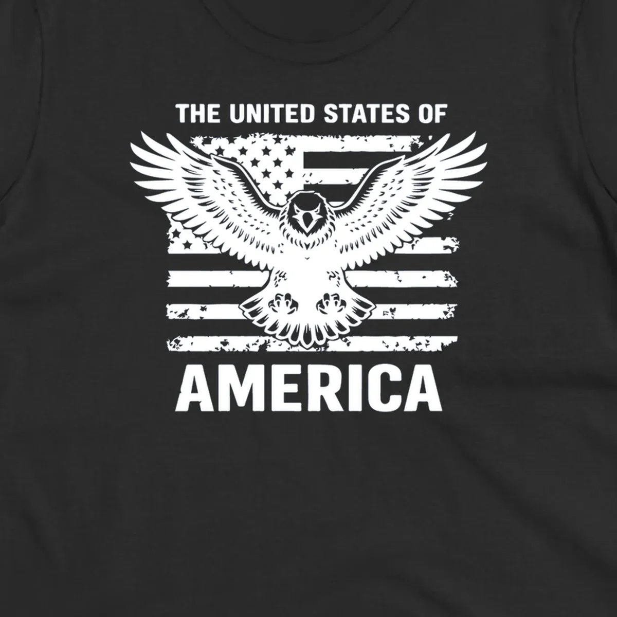Bold American eagle with outstretched wings superimposed over a distressed USA flag, text 'THE UNITED STATES OF AMERICA'.