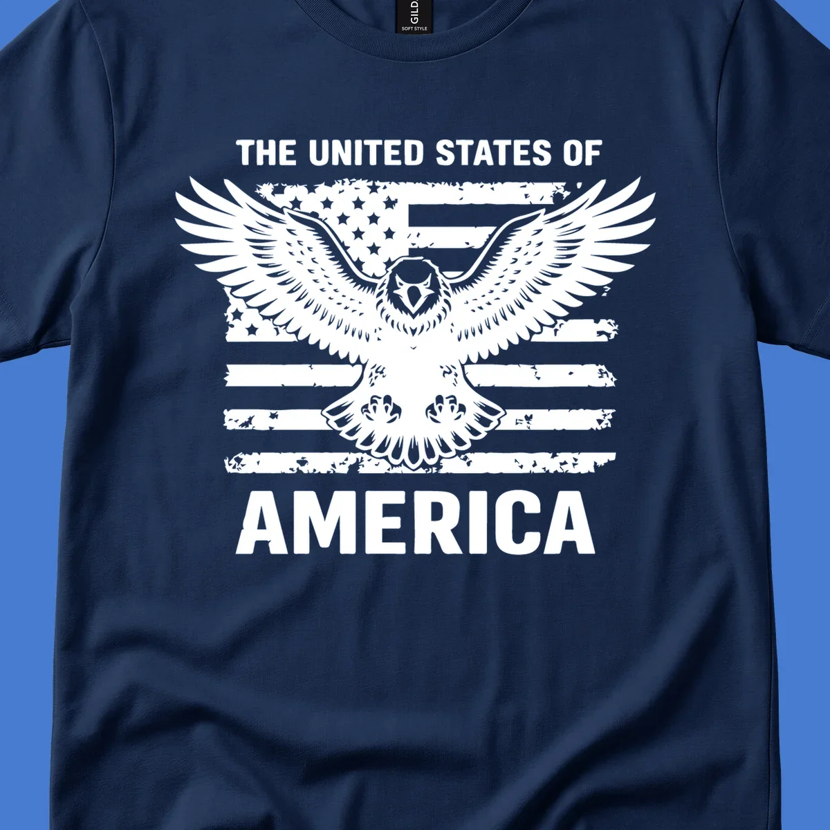 Bold American eagle with outstretched wings superimposed over a distressed USA flag, text 'THE UNITED STATES OF AMERICA'.