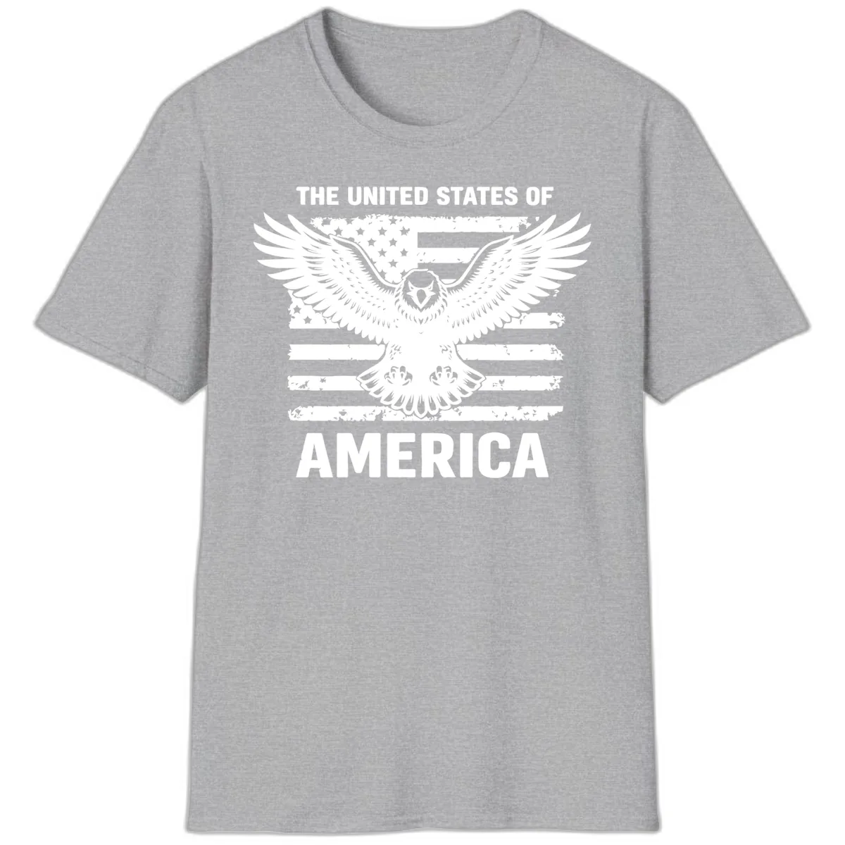American Eagle Flag Celebration T-Shirt in Sport Grey