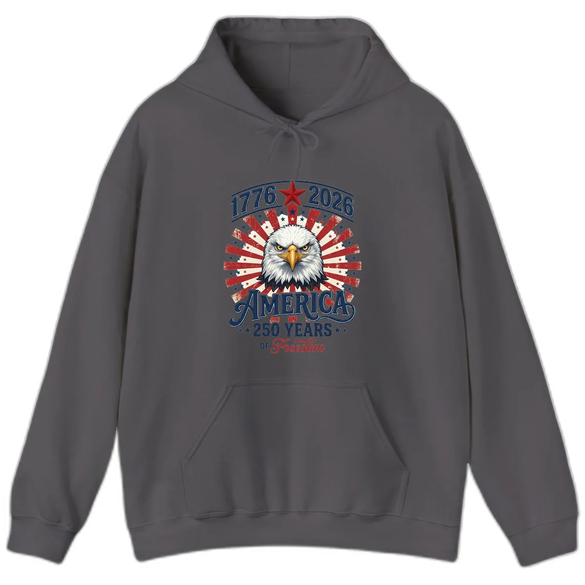 America 250 Years Of Freedom Hoodie in Charcoal