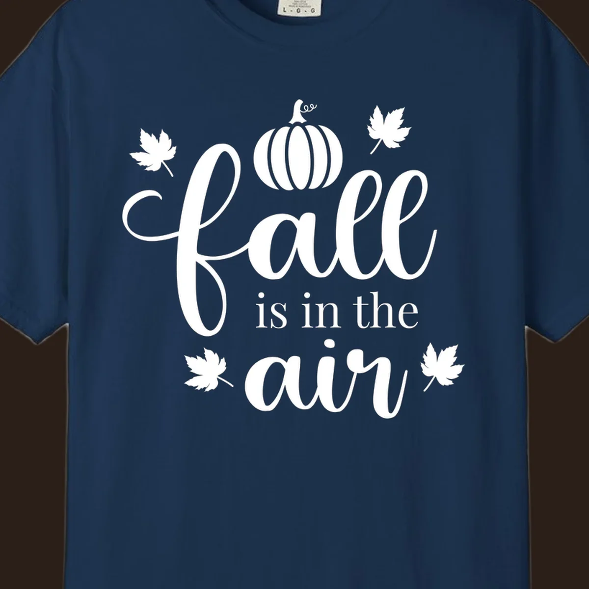 Fall is in the air phrase with pumpkin and maple leaves graphic.