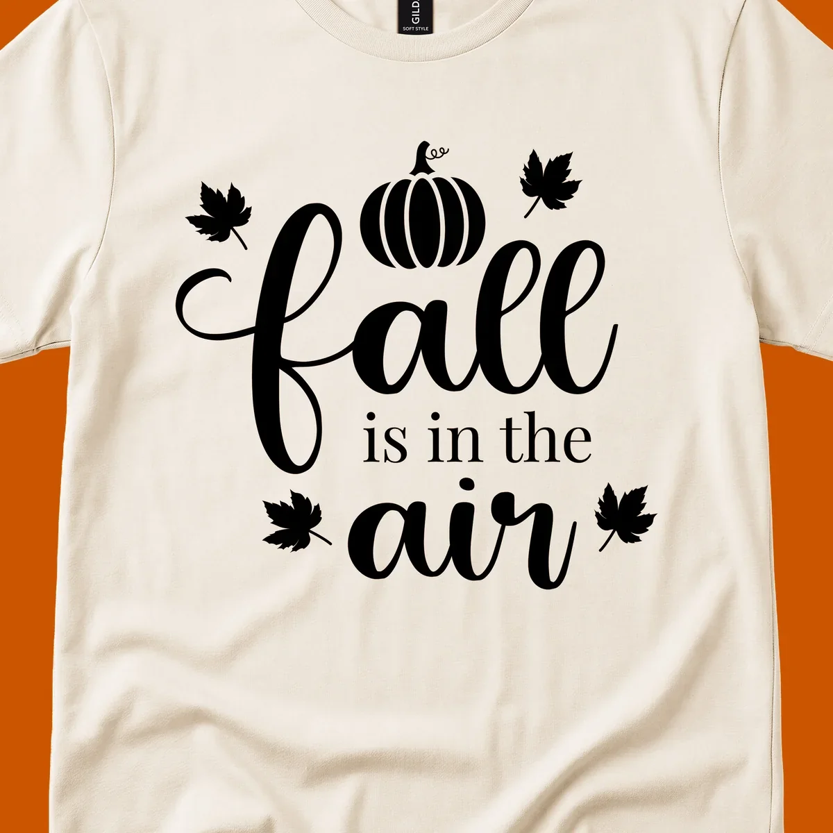 Fall is in the air phrase with pumpkin and maple leaves graphic.
