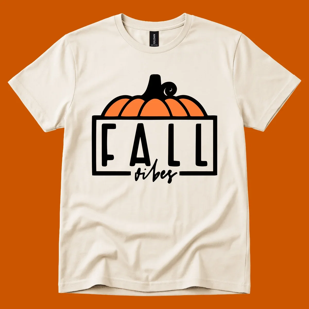 Fall vibes pumpkin graphic with text. Includes a pumpkin illustration and the words FALL and vibes.