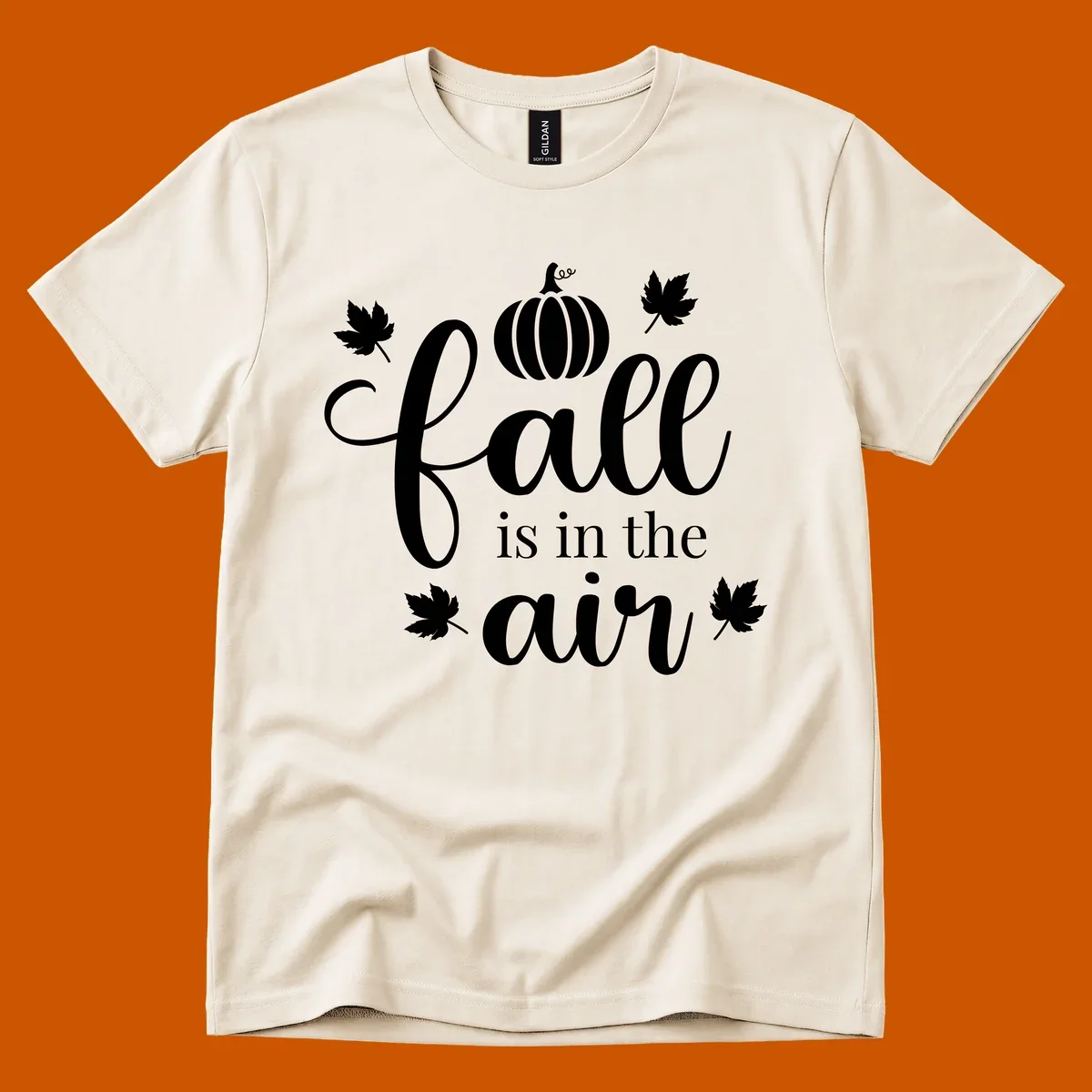 Fall is in the air phrase with pumpkin and maple leaves graphic.