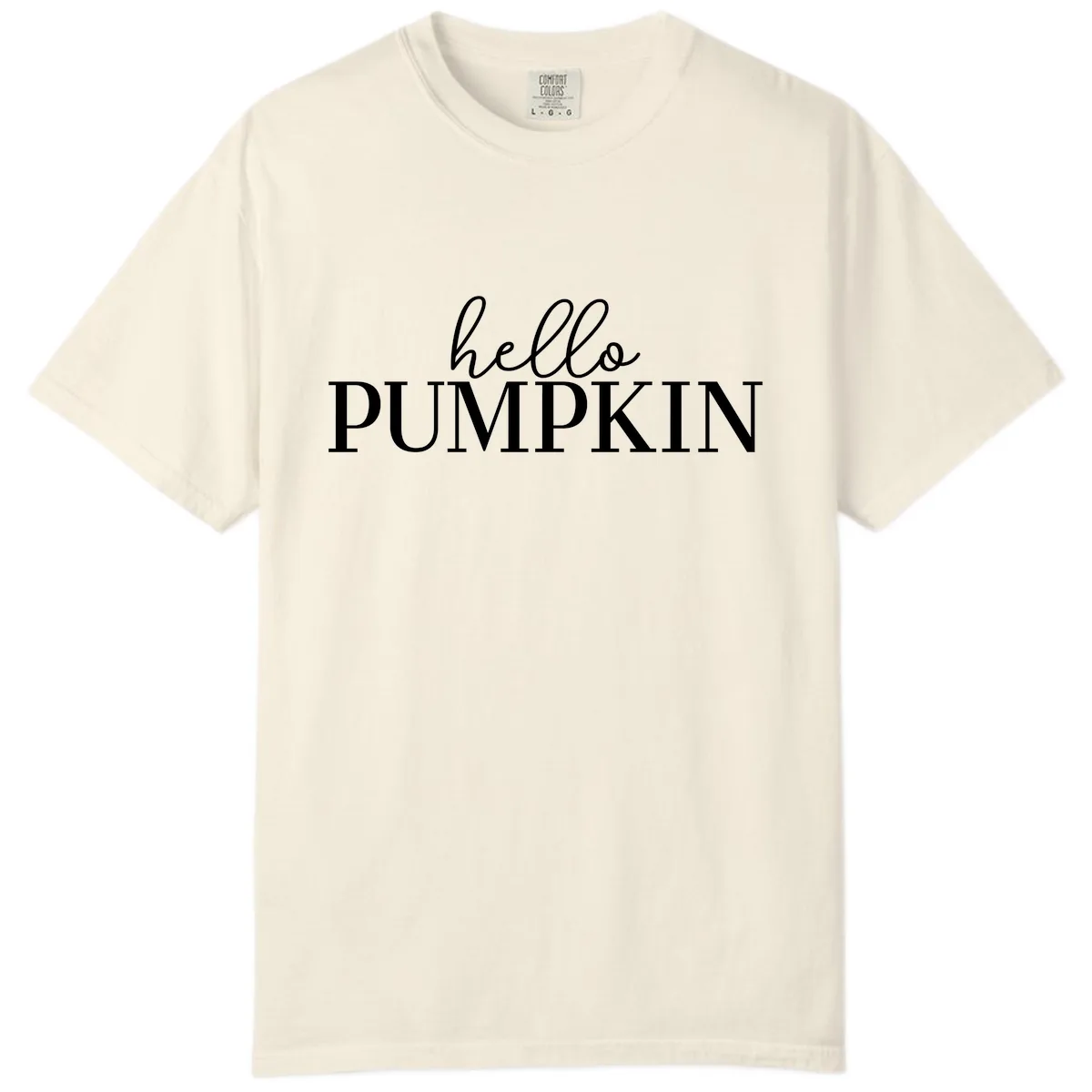 Hello Pumpkin Family Thanksgiving Tee Comfort Color in Ivory