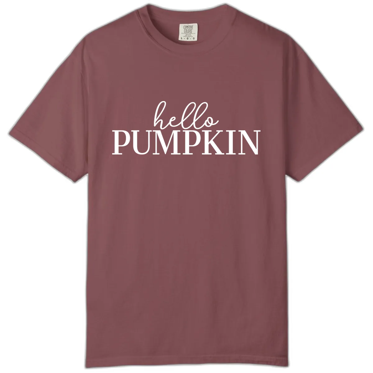 Hello Pumpkin Family Thanksgiving Tee Comfort Color in Brick