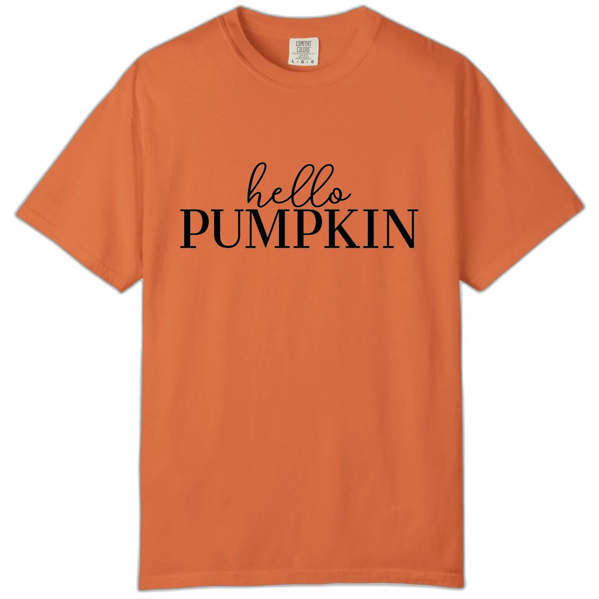 Hello Pumpkin Family Thanksgiving Tee Comfort Color in Burnt Orange