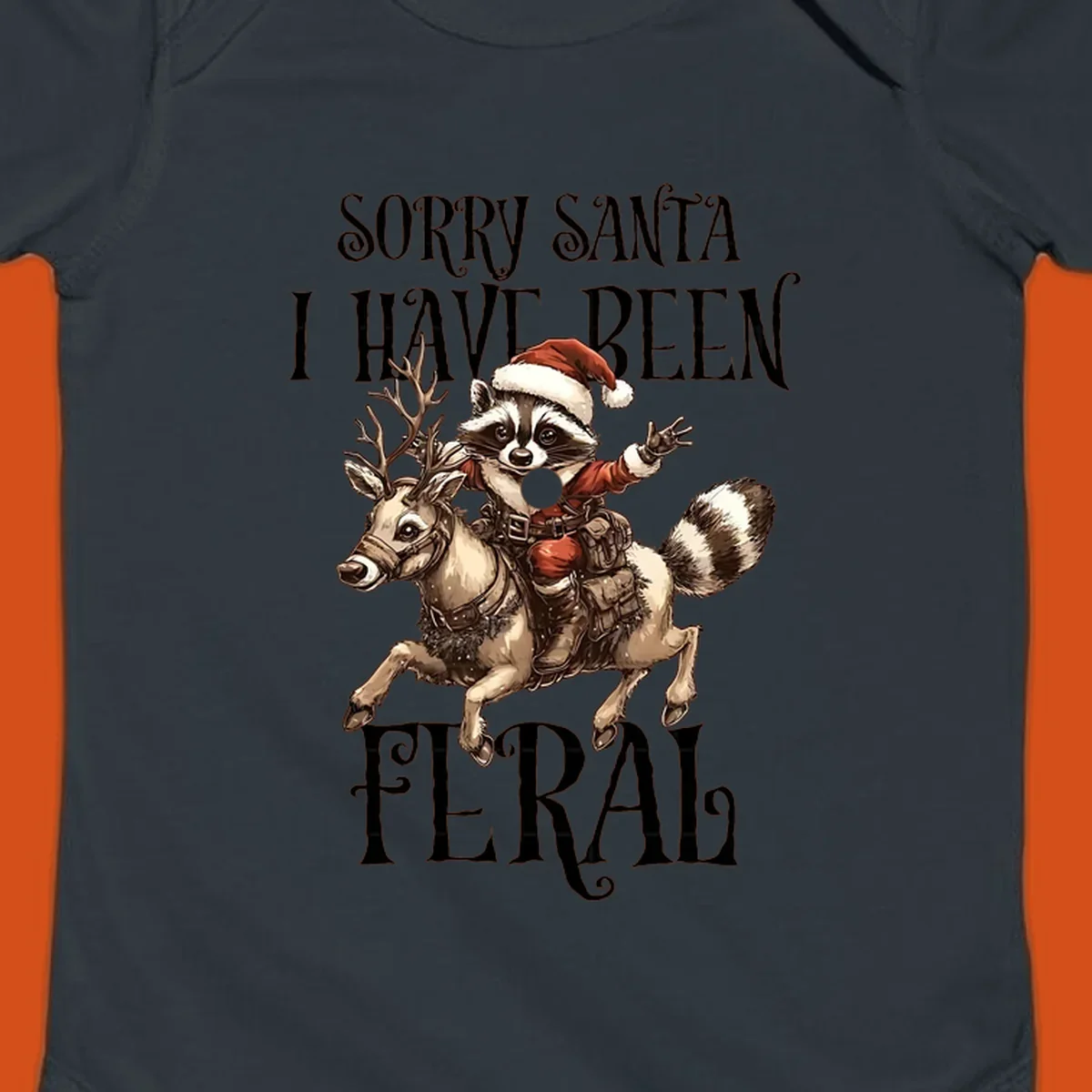 Feral raccoon in Santa hat riding reindeer, with text sorry santa i have been feral.