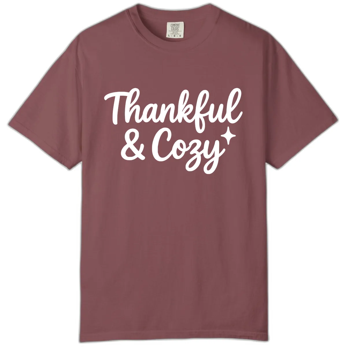 Thankful And Cozy Script Design Comfort Color in Brick