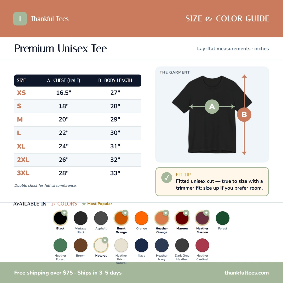 Premium T-Shirt size & color guide