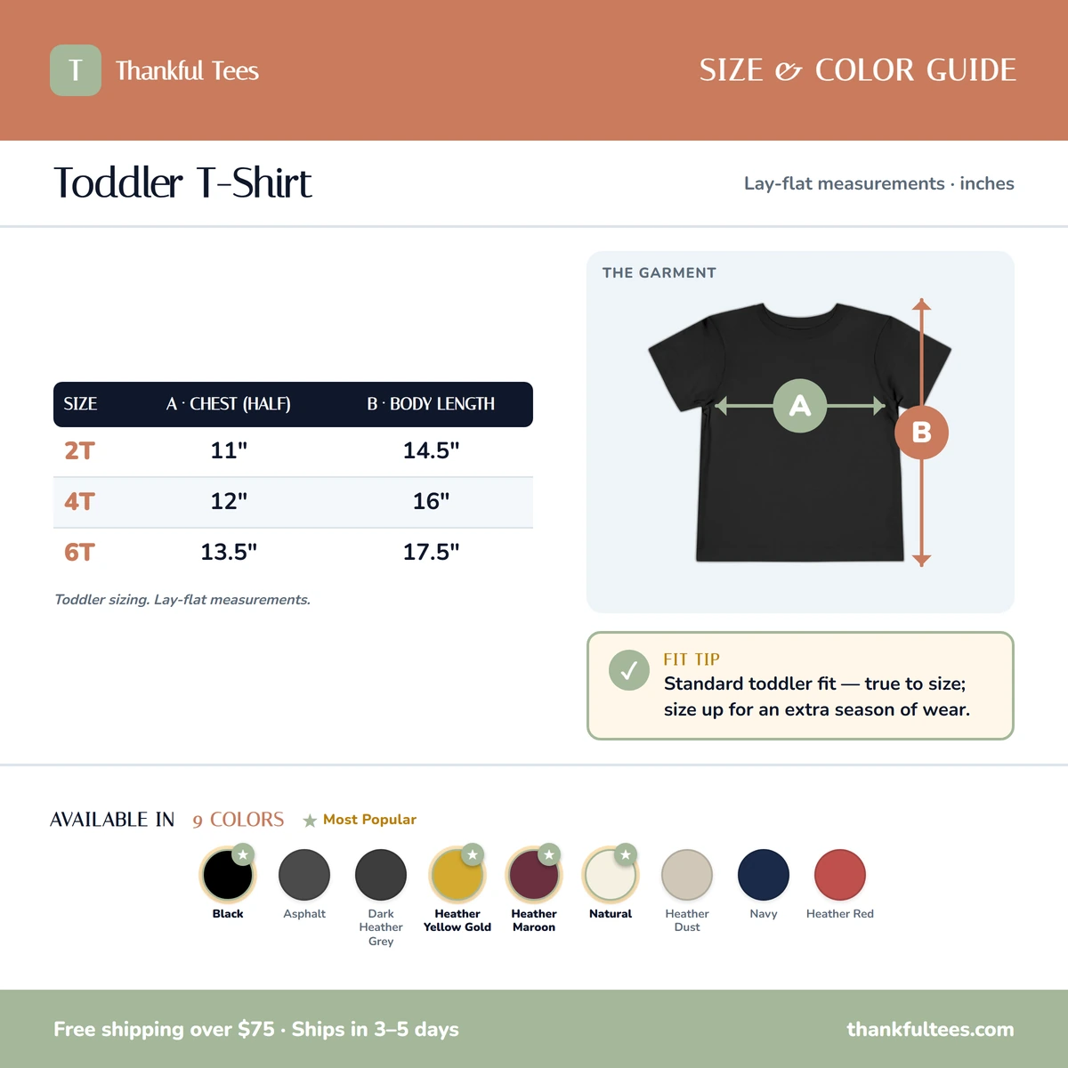 Toddler T-Shirt size & color guide