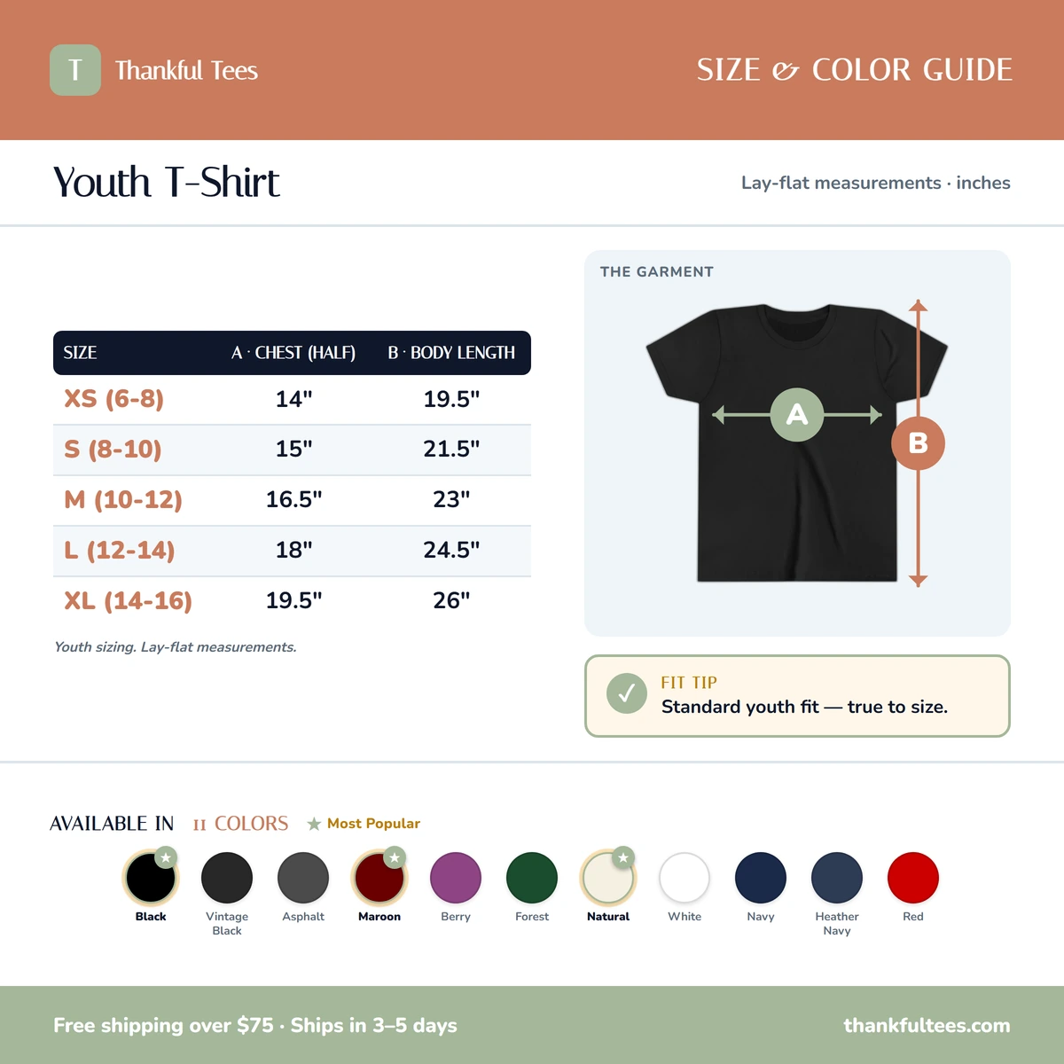 Youth T-Shirt size & color guide