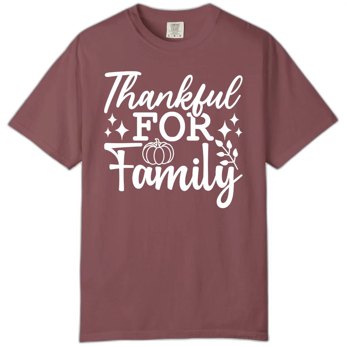 Thankful For Family Pumpkin Design Comfort Color in Brick