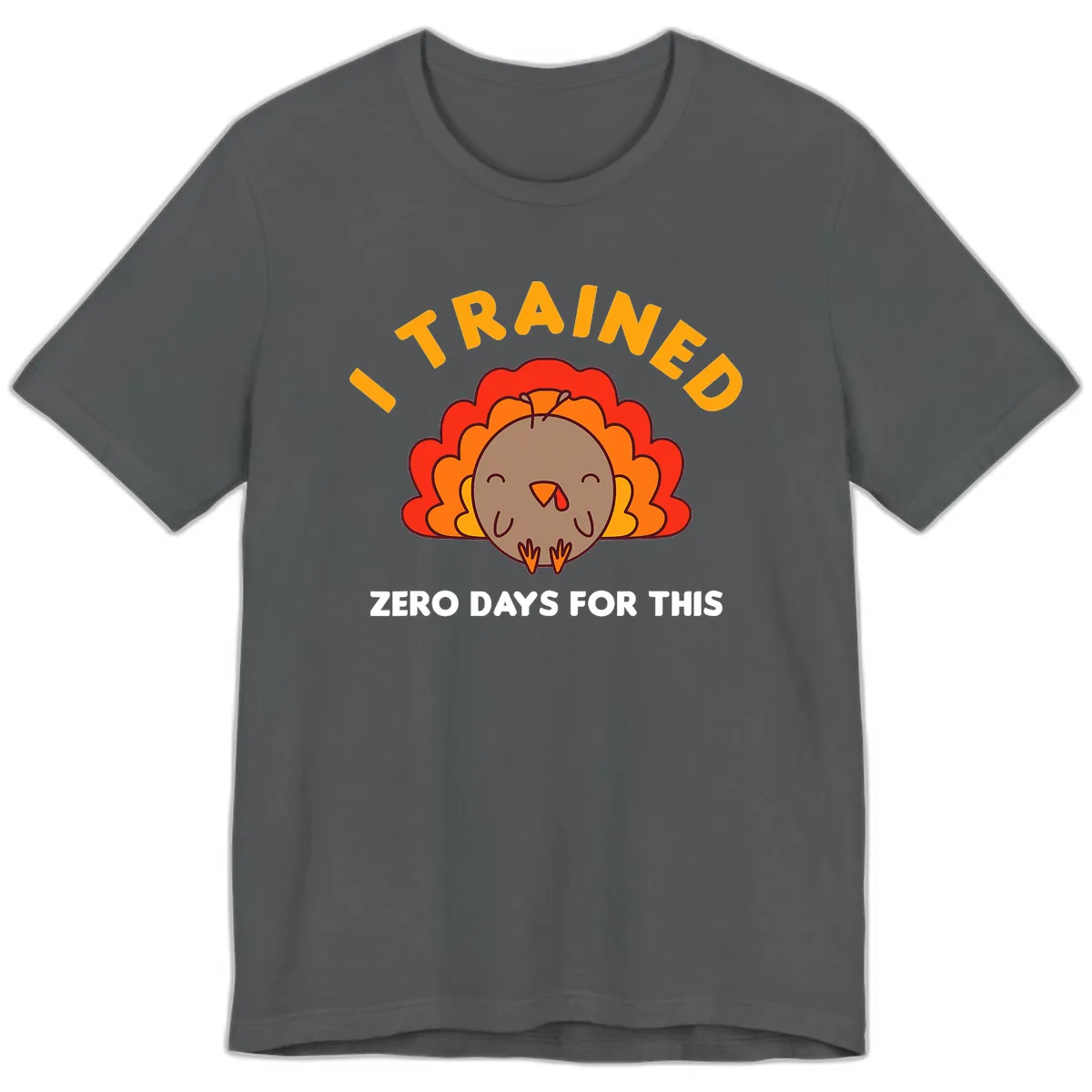 I Trained Zero Days For This Premium T-Shirt in Asphalt