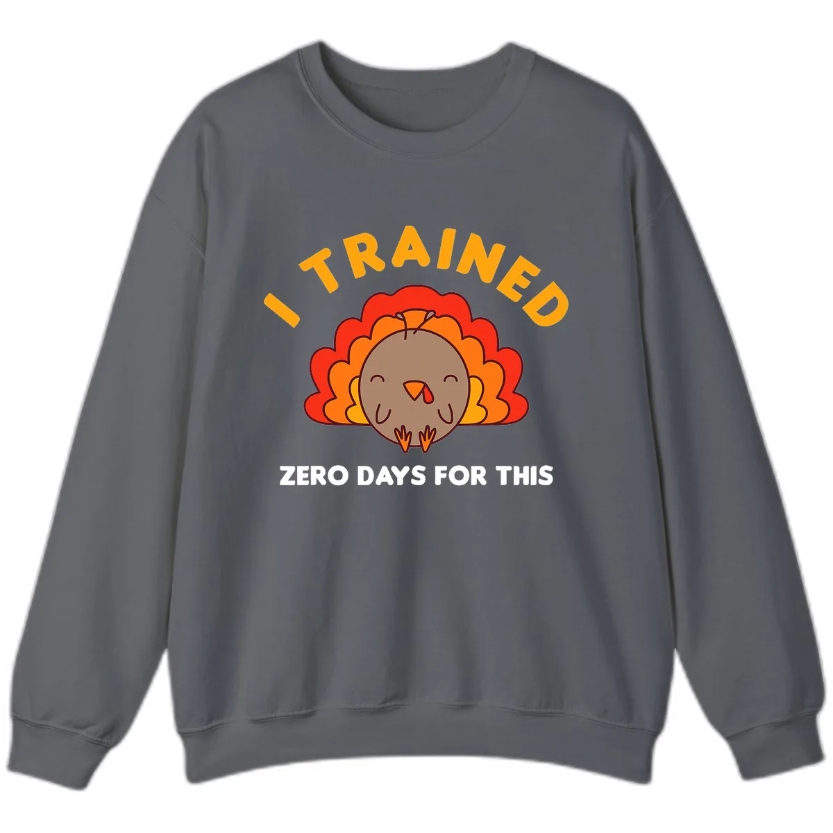 I Trained Zero Days For This Sweatshirt in Charcoal